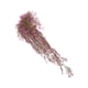 thumbnail image 2 of Billuyoard Fondo de pared artificial flores colgantes planta ratán falso decoración DIY regalos de inauguración hogar patio interior Decoración Largo Morado Rojo 120CM Billuyoard HA065697-05, 2 of 6