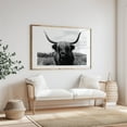thumbnail image 4 of Black And White Highland Majesty - Scotland United Kingdom Photography Highland Cow Black and White Animal Nature Rustic Wildlife Rural Unframed Wall Art Print 5 x 7 inches, 4 of 7