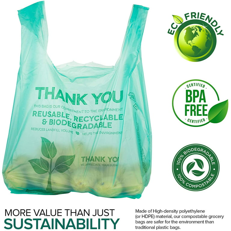 BAG SMALL Clear reusable biodegradable PVC bag
