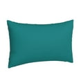 thumbnail image 2 of Balery Teal Pillow Covers,Bed Pilowcases,Reversible Plush Throw Pillow Covers End Pillow Encasement,Pillow Case - 14"X20", 2 of 9