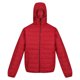 thumbnail image 1 of Regatta - Chaqueta Helfa para Hombre (Rojo Oscuro), 1 of 3
