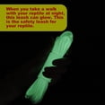 thumbnail image 4 of GHSDFBB Adjustable Lizard Leash Lizard Harnesses Lizard Traction Rope Glow Lizard Leash Bearded Dragon Leash for Small Medium and Large Reptile Amphibians (Green), 4 of 7