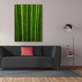 thumbnail image 3 of Epic Graffiti 'The Great Green Wall' by Epic Portfolio Giclee Canvas Wall Art, 40"x54", 3 of 8