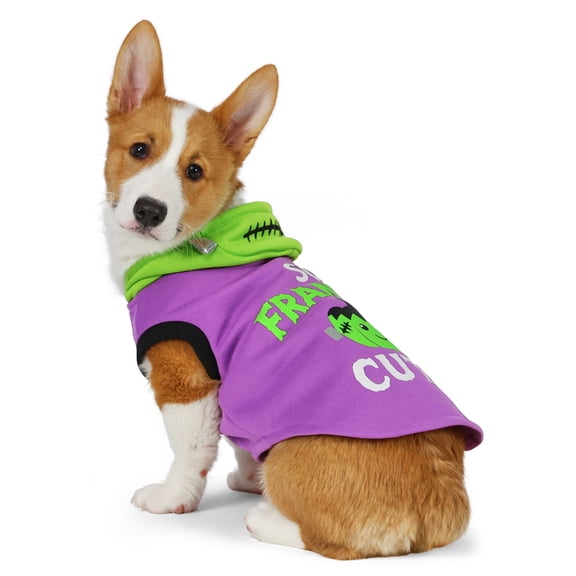 Vibrant Life Halloween Hoodie for Dogs and Cats, So Franken Cute, Purple and Green, S