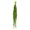 Spring Green, variant on Vickerman 30" Spring Green Amaranthus Bundle, Preserved