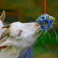 thumbnail image 6 of Harikaji Horse Treat Ball Hay Feeder Toy, Goat Pony Feeder Ball Hanging Feeding Toy for Horse Goat Sheep Relieve Stress Pink, 6 of 7