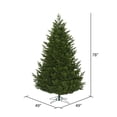 thumbnail image 3 of Vickerman 6.5' x 49" Eagle Fraser Fir Full Artificial Christmas Tree, Unlit, 3 of 3