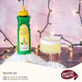 thumbnail image 3 of Master of Mixes Single Pressed Lemon Juice, 100% Premium Citrus Cocktail Mixer, 375 mL (12.7 fl oz), Case of 12, 3 of 4