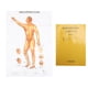 thumbnail image 2 of Gráfico De Pared De Puntos De Acupuntura Masculina, Referencia Comparativa Detallada Mapa De Puntos De Acupuntura Masculina Universal Detalles De Registro Para Salones De Masaje Ccdes Otros, 2 of 8