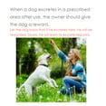 thumbnail image 3 of 30ML Pet Training Spray Encourages Dogs to Urinate Wherever The Product Sprayed Cat Sounds Device Portable Dog for Large Dogs Clicker Training for Dogs Pack Aggressive Dog Devices Remote Control Air, 3 of 3