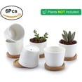 thumbnail image 4 of Maceta suculenta de cerámica blanca de 6,5 cm con bandeja de bambú, juego de 6, macetero para plantas de cactus, maceta, contenedor, regalo para cumpleaños, bodas, 4 of 8