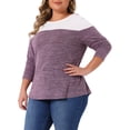 thumbnail image 4 of Agnes Orinda Women's Plus Size Top Color Block Crewneck Long Sleeve Knitted Casual Loose Pullover Blouse 1X Purple, 4 of 6