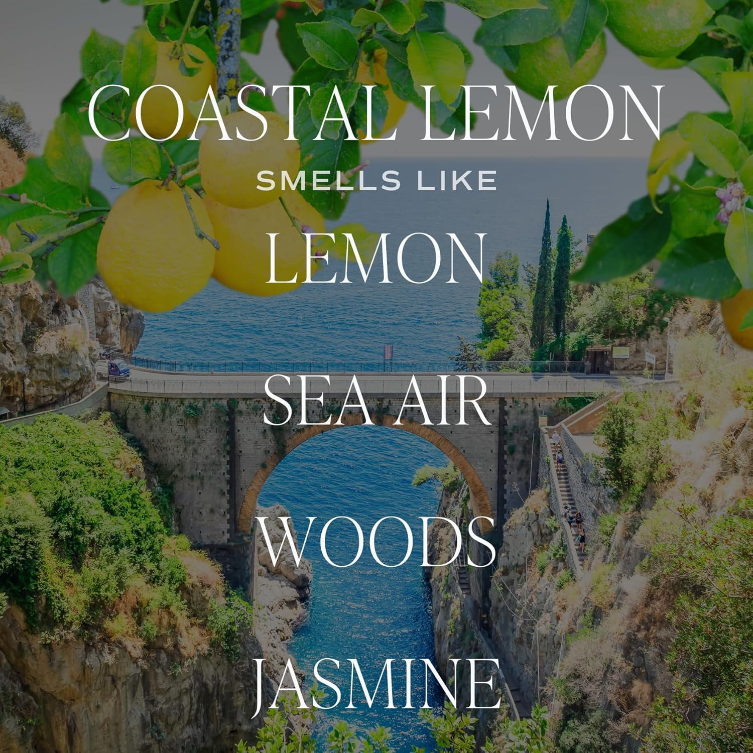 Coastal Lemon Scented Candles - Soy Candles with Lemon, Sea Salt, & Driftwood for Home Decor - Candle Wax with 50 Hours Burn Time - 11Oz Wood Lid White Jar Candles for Home Scented
