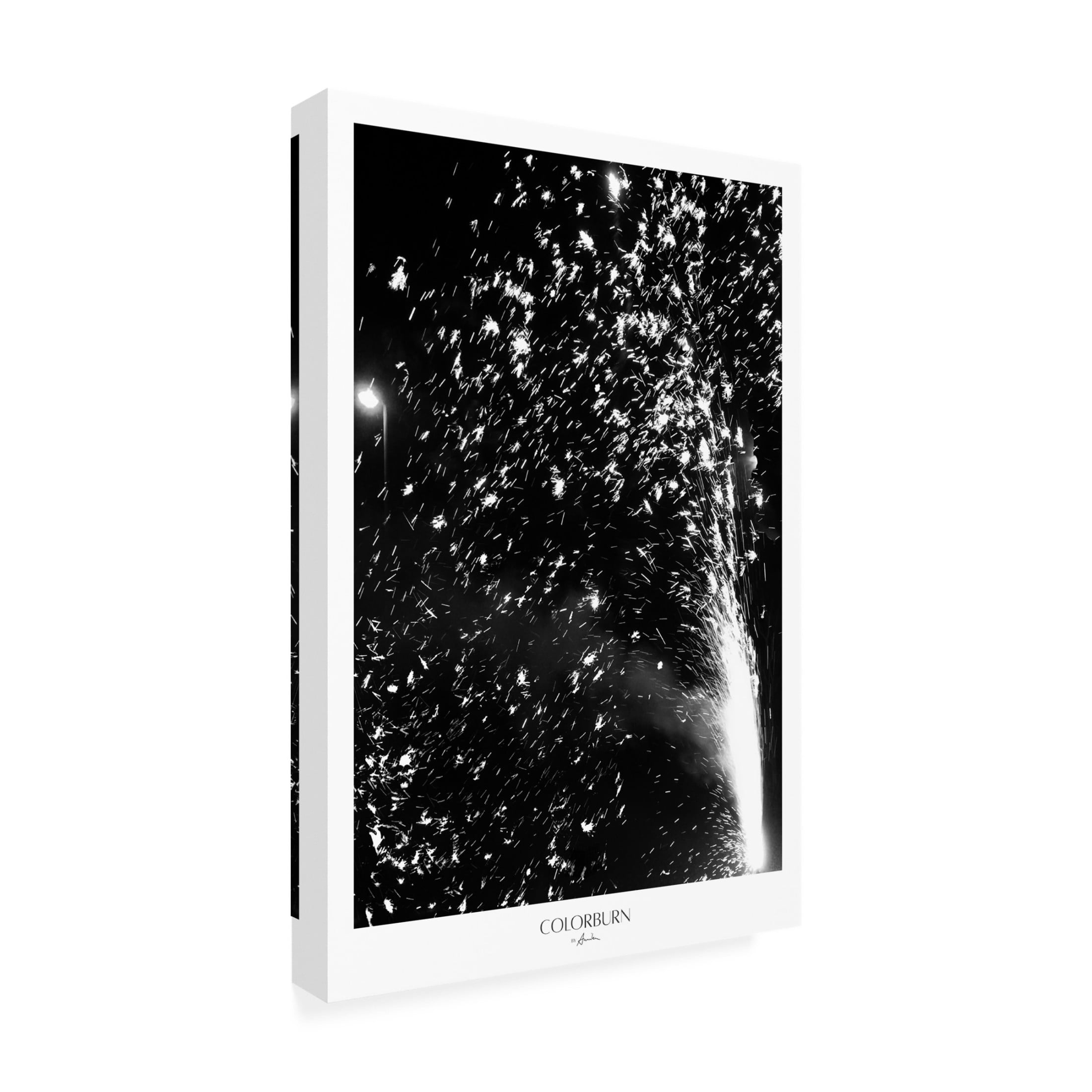 Trademark Fine Art Annika John Colorburn Canvas Wall Art