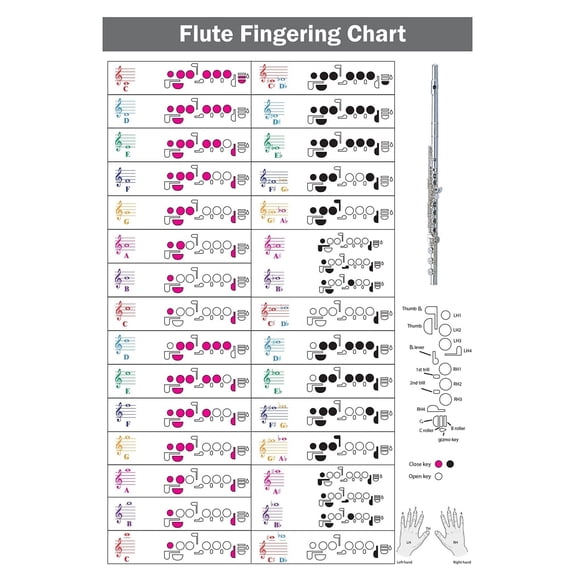 Flute Fingering Chart poster with Color-Coded Notes, Learn Flute Technique Suitable for All Levels poster