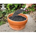 thumbnail image 5 of Carbón vegetal hortícola O-FarFarm de 2 cuartos de galón para plantas en macetas, carbón vegetal de madera dura para mejorar la tierra de macetas, orquídeas, terrarios y jardinería., 5 of 5
