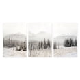 thumbnail image 3 of Delimont, Danita 14x9 Black Modern Framed Museum Art Print Titled - Snowbound, 3 of 5