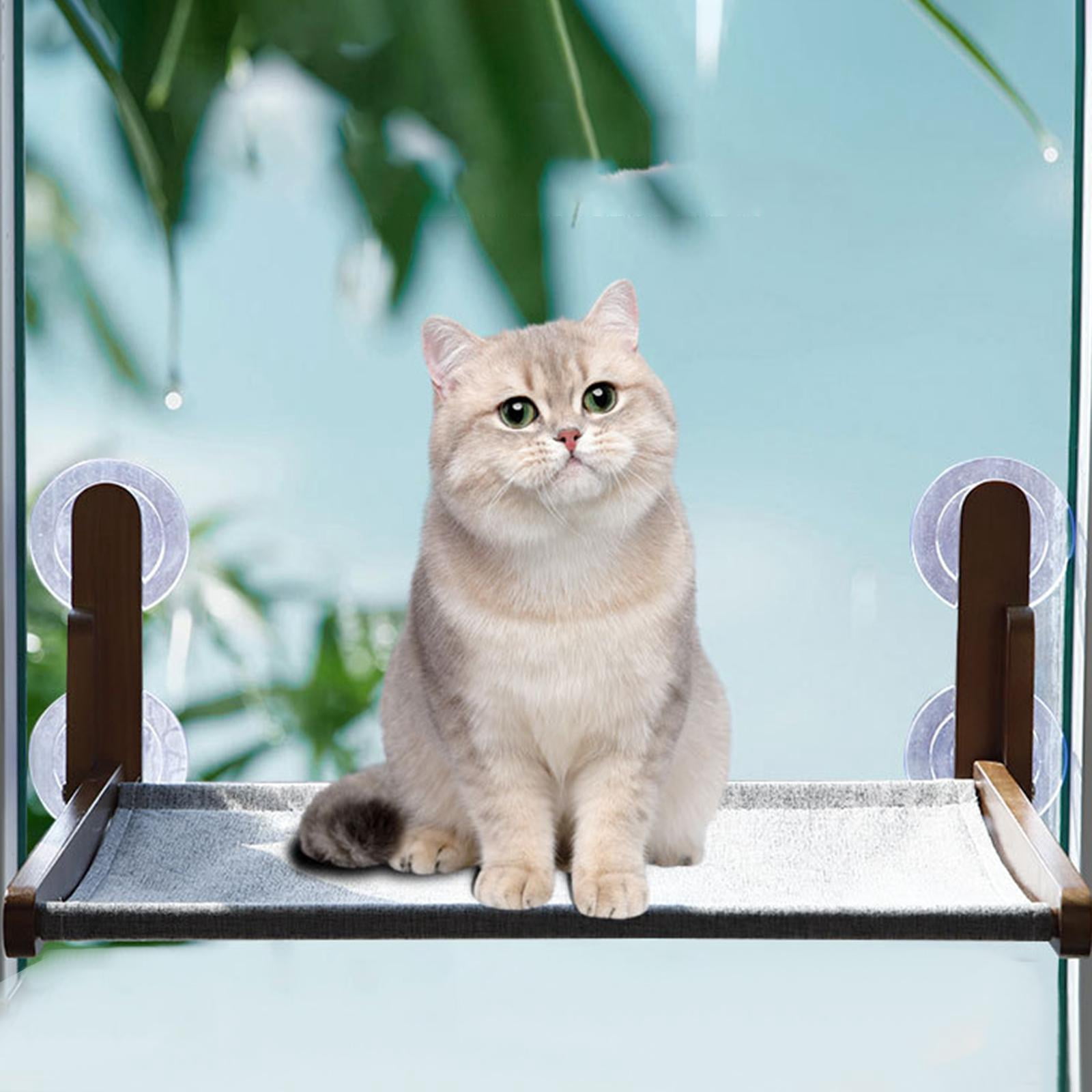 Cat Window Perch Sleeping Bed Cat Hammock for Window for Indoor Cats Sunbath