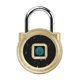 thumbnail image 1 of Candado digital para casillero de gimnasio, candado impermeable para huellas dactilares Ip67, mini cerradura inteligente sin llave de seguridad kaili Sencillez, 1 of 5