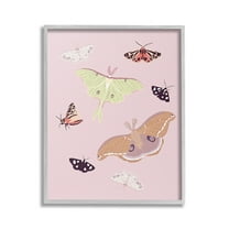 Stupell Industries Varied Moth Pattern Animals & Insects Painting Gray Framed Art Print Wall Art, 24 x 30