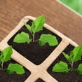 thumbnail image 5 of OULII Small Propagation Pots Nutrient Supply Light Brown for Gardening 13 Pcs, 5 of 5