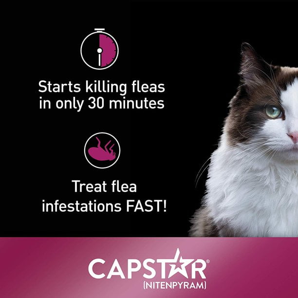 CAPSTAR Nitenpyram Fast Acting Oral Flea Treatment for Cats 2 25 lbs 6 Tablets 11.4 mg Walmart Business Supplies