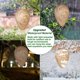 thumbnail image 5 of Nido de avispas, cebo artificial para avispas, nido de avispas para el hogar, jardín y exterior, 5 of 5