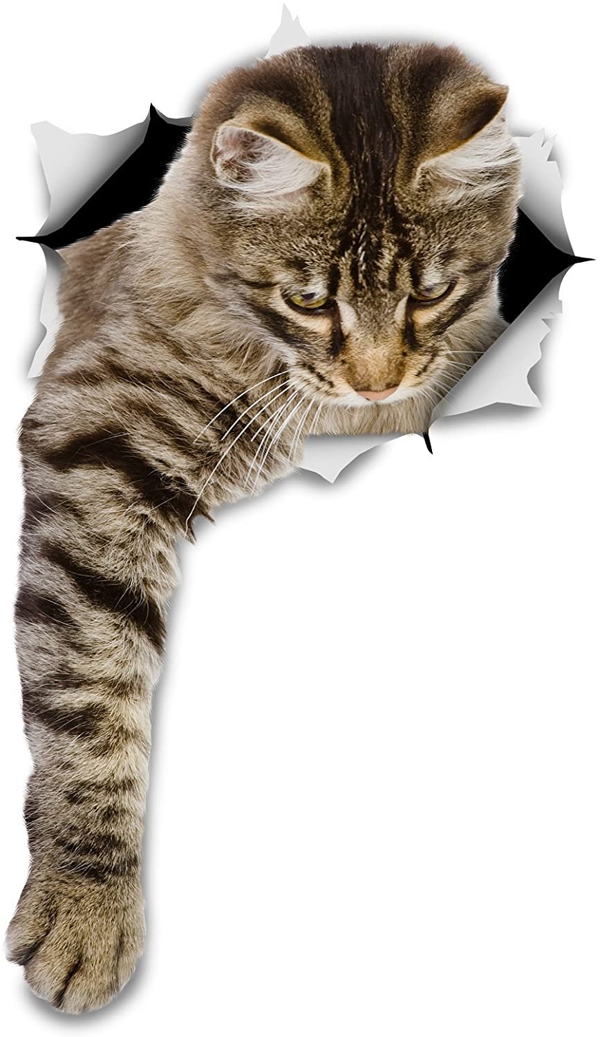 CAT FACE Vinyl Decal Sticker Car Rear Window Wall Bumper Kitten Love