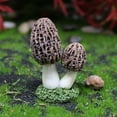 thumbnail image 6 of LWITHSZG 3 Pack Fairy Garden Miniatures Decoration Mushroom Resin DIY Garden Ornament Micro Landscape Mini Dollhouse Garden Accessories, 6 of 8