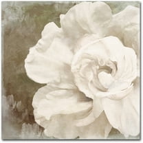 Trademark Fine Art "Petals Impasto II" Canvas Art by Color Bakery