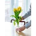 thumbnail image 2 of Serene Spaces Living Set of 6 Clear Ball Bud Vases, Transparent Glass Vases for Weddings, Events, Parties, Floral Centerpieces for Home Decor, Measures 4" Tall, 2 of 6