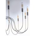 thumbnail image 3 of Maxim Lighting - Eight Light Chandelier - Willsburg-Eight Light Chandelier-30, 3 of 5