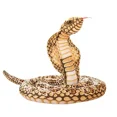thumbnail image 3 of Juguete de peluche de cobra de simulación, muñeco de pitón, muñeco de trapo, serpiente enrollada, decoración para fiestas infantiles, decoración de Halloween, juguete de peluche, 3 of 3
