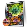 thumbnail image 2 of Taladro cuadrado completo hecho a mano 5D suculentas planta dibujo Kit DIY diamante pintura Likrtyny Arte deco, 2 of 9