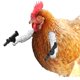 thumbnail image 4 of Accesorios para El Brazo Corral Juguete Pollo Portátil Impreso en 3D Regalo () Blanco, 4 of 8