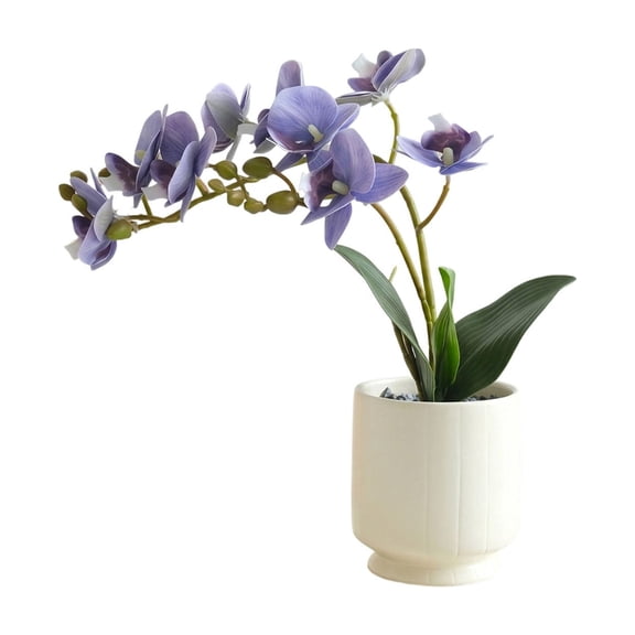 Bwiyojiz Artificial Silk Phalaenopsis Potted For Table Living Room Decoration