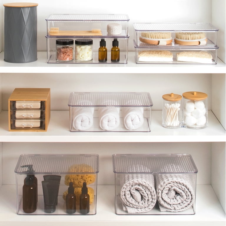 Isaac Jacobs Clear Hinged Storage Container Set, 2-Pack – Medium