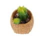 thumbnail image 2 of Planta artificial,artificial Suculento,tacto verdadero de la planta,Falso Suculento,Decoración floral,planta de plástico, 2 of 8