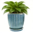 thumbnail image 1 of 6 Inch Ceramic Plant Pots with Drain Hole & Saucer, Ceramic Pots for Indoor Plants - Succulent, Snake Plant, Money Tree, Aloe Vera, 1 of 9