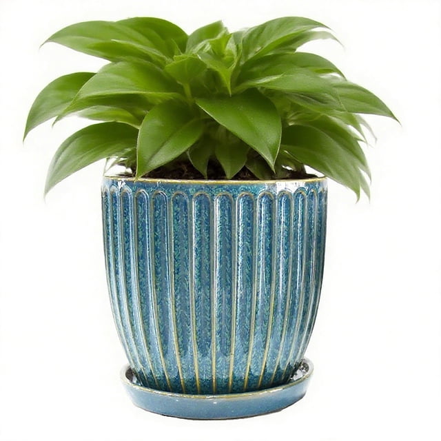 6 Inch Ceramic Plant Pots with Drain Hole & Saucer, Ceramic Pots for Indoor Plants - Succulent, Snake Plant, Money Tree, Aloe Vera