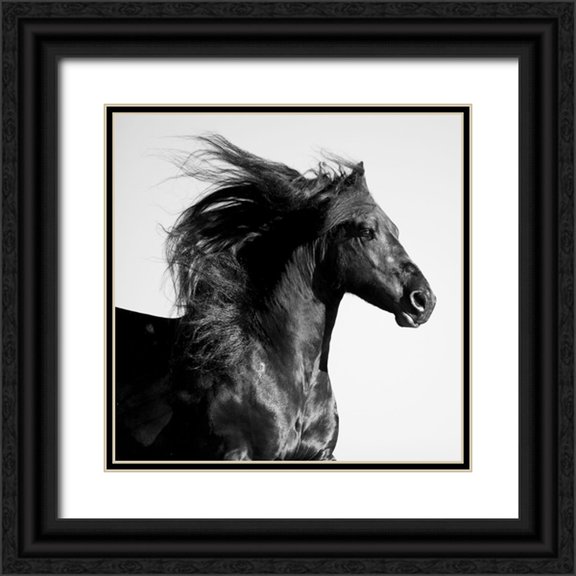 Walker, Carol 12x12 Black Ornate Wood Framed with Double Matting Museum Art Print Titled - Black Horse