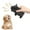 Black, variant on 5.5" Cute Pig Dog Toy for Dogs Latex Rubber Cube Squeeze Grunting Sound Interactive Play, Dog Toy Animals Pig Shape Gnawing Sound Toy for Pet - Clearance Favor