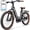 Gray, variant on 26" Carbon Fiber Electric Bike for Adults, 750W Motor 24MPH Lightweight Commuter E-Bike, 48V Dual Battery 128 Miles Long Range, 13+ Adult Electric Bicycle - Gray
