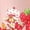 LIGHT PINK, variant on Strawberry Shortcake - Strawberry Bows - Youth Girls Boxy T-Shirt