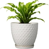 8 Inch White Round Ceramic Plant Pot - Modern Planter with Drainage Hole & Saucer for Indoor/Outdoor Plants