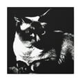 thumbnail image 2 of Feline Fauvist Companions - Canvas, 2 of 25