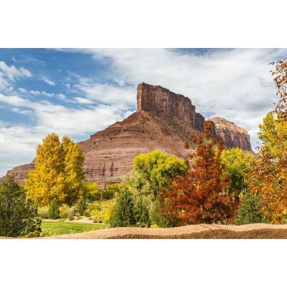The rock formation 'the Palisade' with colourful autumn foliage in the foreground; Gateway, Colorado, United States of America by Lynn Wegener / Design Pics (38 x 24)