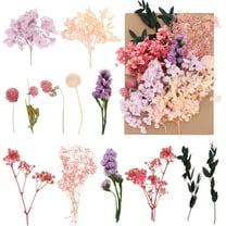 Armscye Natural Dried Flowers, Mixed Real Dried Flowers for DIY, Multicolor Dried Pressed Leaf Flowers for Crafts Photo Frame Candle Making Wedding Home Decoration