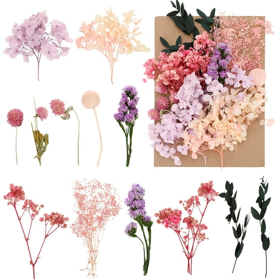 Armscye Natural Dried Flowers, Mixed Real Dried Flowers for DIY, Multicolor Dried Pressed Leaf Flowers for Crafts Photo Frame Candle Making Wedding Home Decoration