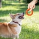 thumbnail image 4 of Anillo de juguete para morder para perros de caucho Natural y duradero, juguete para masticar y limpiar los dientes para mascotas (naranja), 4 of 6